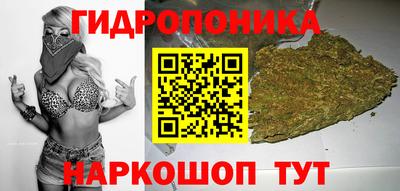 мдпв Нальчик
